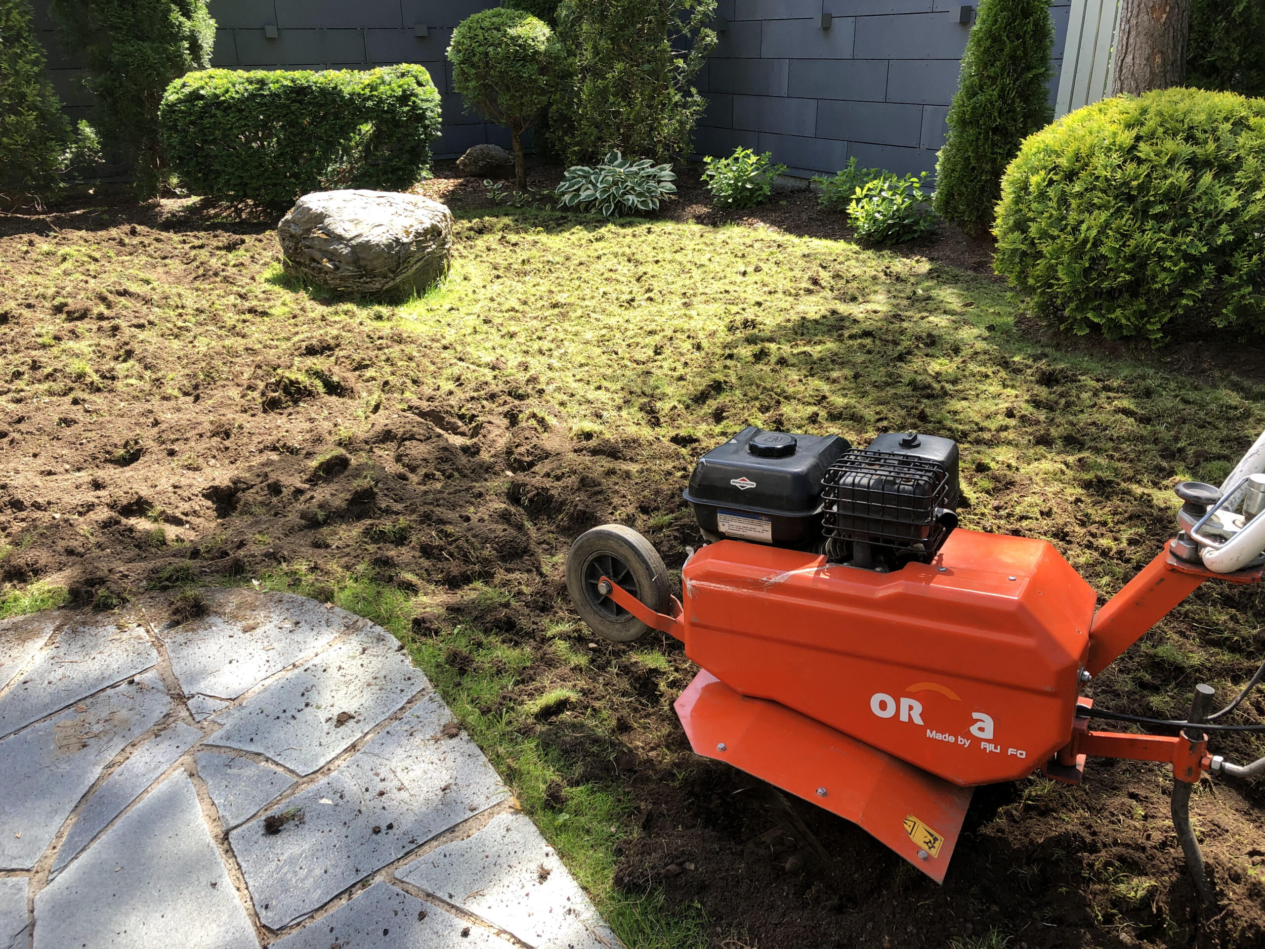 Miks muru muutub kollaseks ja mida teha