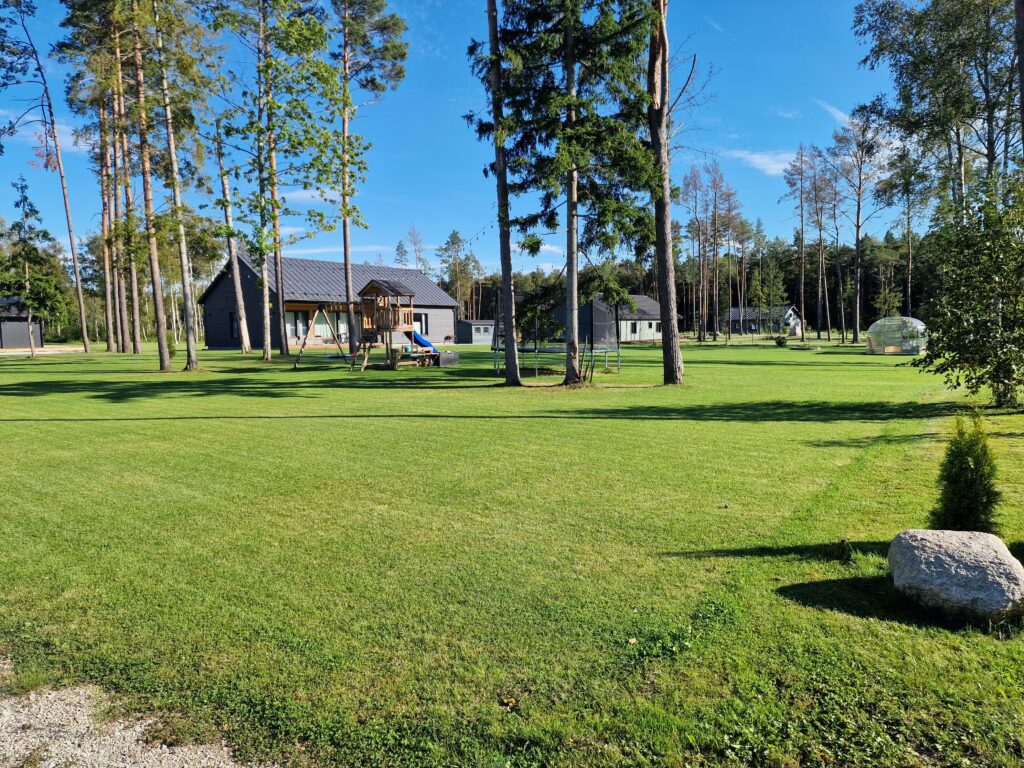 Muru külvamine Harjumaal