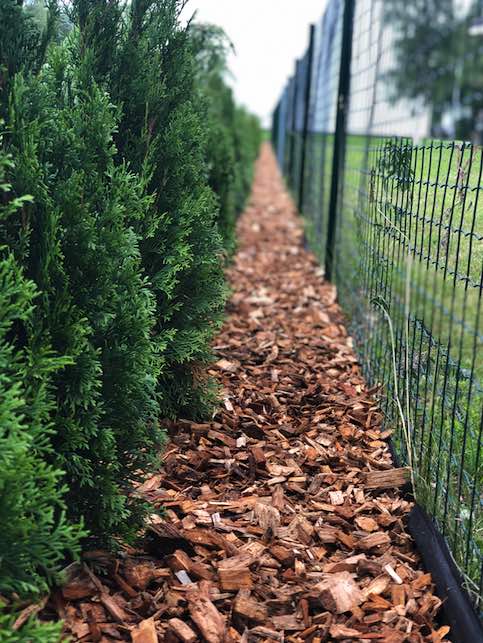 Multšipeenar aitab tõkestada umbrohu kasvu