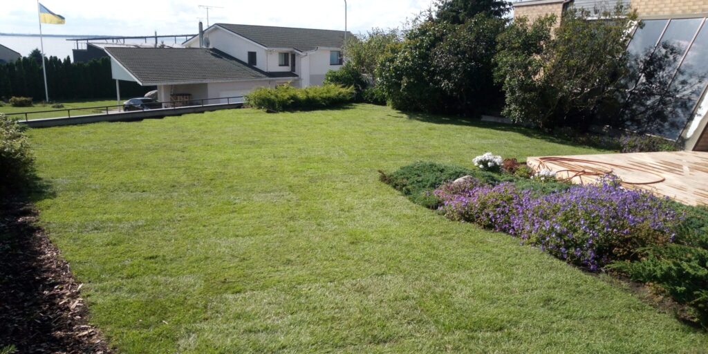 Paigaldatud rullmuru ehk siirdmuru pärast pinnase planeerimist