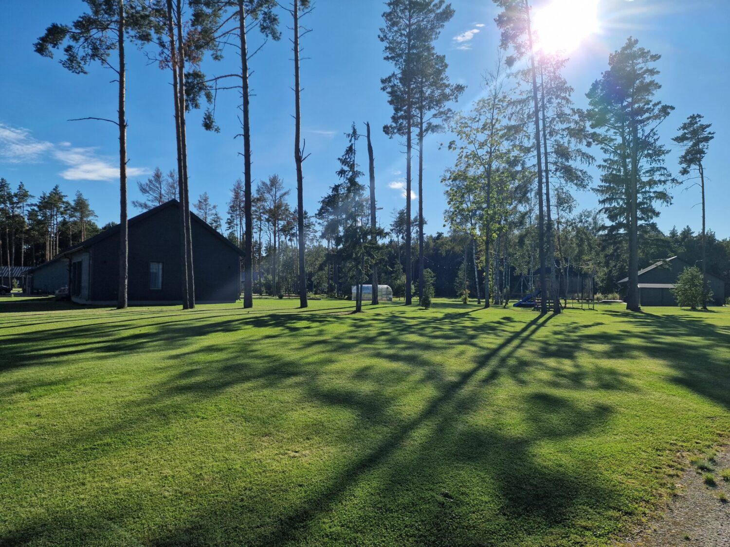 Muru rajamine Tallinnas – pinnase ettevalmistus ja rullmuru paigaldus