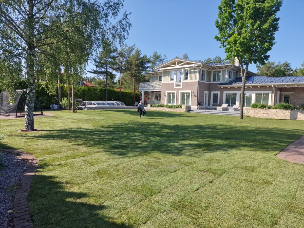 Siirdmuru paigaldus Tallinnas – värske rullmuru aias