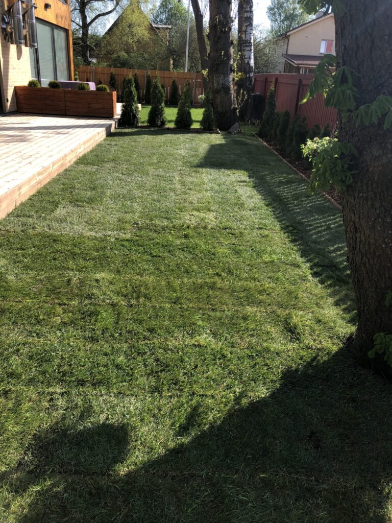 valmis murupind pärast siirdmuru paigaldust Tallinnas