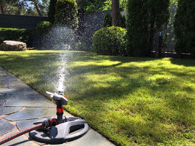 värskelt paigaldatud rullmuru kastmine pärast siirdmuru paigaldust